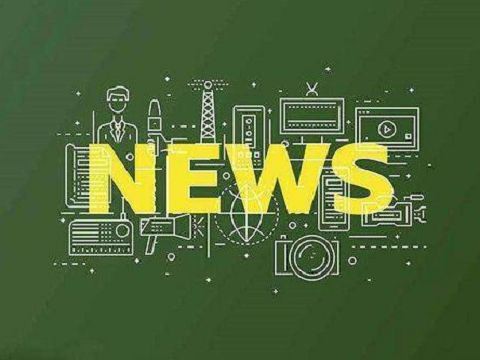 Namn på varje del av Pogo Pin